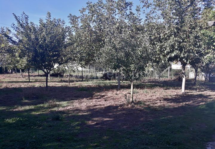 Helårsgrund i Barcelos, Braga, Barcelos - € 67.000 | Ref: 254260395 - foto 1