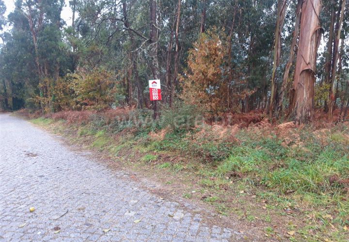 Helårsgrund i Barcelos, Braga, Barcelos - € 120.000 | Ref: 254260254 - foto 1