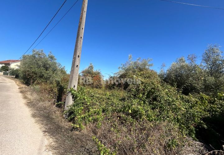 Helårsgrund i Tomar, Santarem, Tomar - € 7.100 | Ref: 01717-25 - foto 1