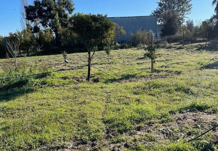 Helårsgrund i Palmela, Setubal, Palmela - € 150.000 | Ref: 785454 - foto 1
