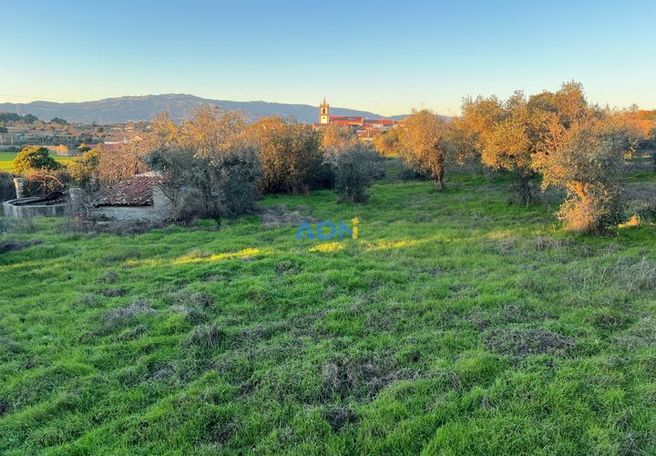 Farm hus i Castelo Branco, Castelo Branco, Castelo Branco - € 350.000 | Ref: 125127 - foto 1