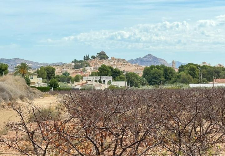 Terra a Monovar, Alicante, Monovar - € 94.995 | Ref: GM2814 - foto 1