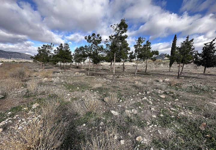 Helårsgrund i Salinas, Alicante, Salinas - € 26.995 | Ref: JJ7201 - foto 1