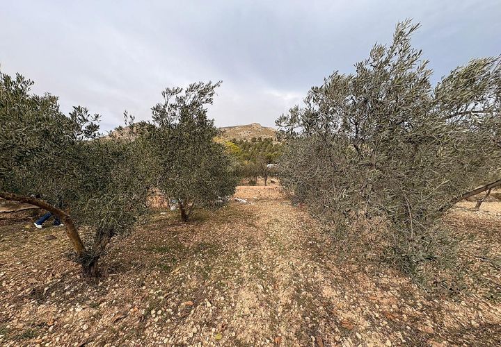 Terra a Onil, Alicante, Onil - € 90.000 | Ref: JJ7247 - foto 1