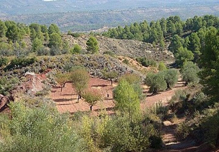 Grond in Ayora, Valencia, Ayora - € 33.000 | Ref: S-1494868 - foto 1