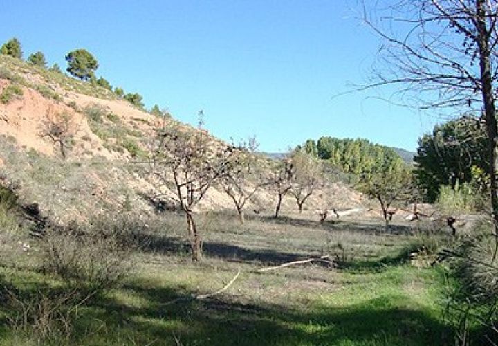 Villa i Ayora, Valencia, Ayora - € 185.000 | Ref: S-1494895 - foto 1