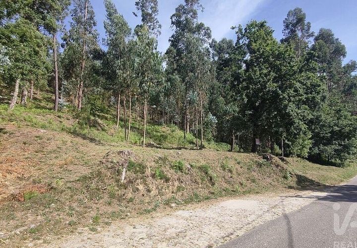 Terra a Valenca, Viana do Castelo, Valenca - € 43.750 | Ref: 783729 - foto 1