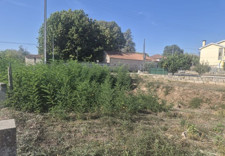 Terra a Nelas, Viseu, Nelas - € 60.000 | Ref: 189252185 - foto 1