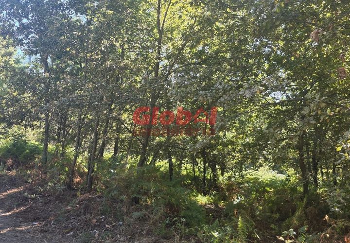 Helårsgrund i Viseu, Viseu, Viseu - € 120.000 | Ref: 189252235 - foto 1