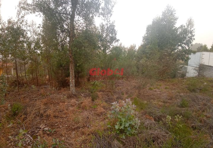 Helårsgrund i Viseu, Viseu, Viseu - € 65.000 | Ref: 189252258 - foto 1