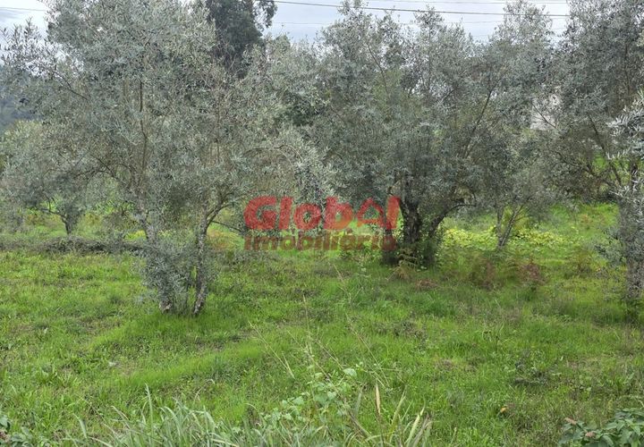 Helårsgrund i Viseu, Viseu, Viseu - € 70.000 | Ref: 189252263 - foto 1