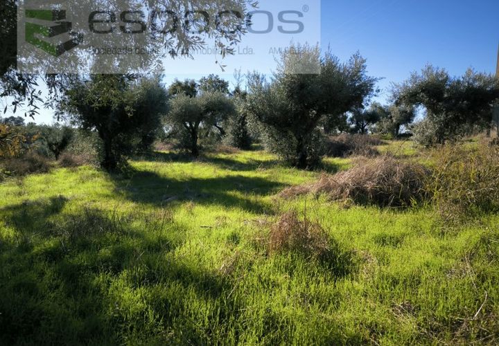 Helårsgrund i Castelo Branco, Castelo Branco, Castelo Branco - € 16.500 | Ref: 5653/EG - foto 1