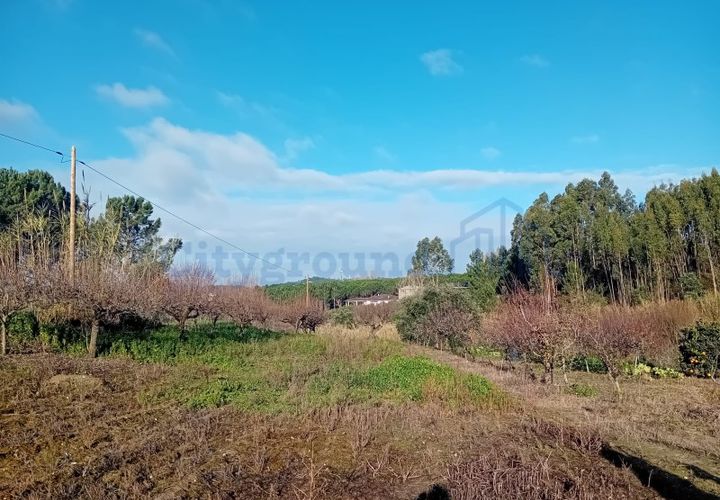 Helårsgrund i Leiria, Leiria, Leiria - € 97.500 | Ref: 6104 - foto 1