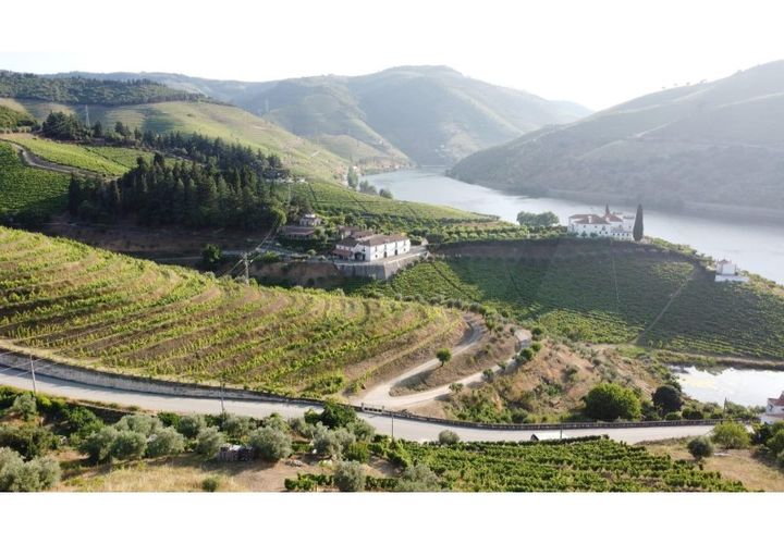 Terra a Folgosa, Viseu, Folgosa - € 75.000 | Ref: KWPT-025485 - foto 1