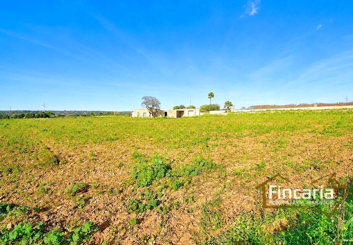 Landejendom i Manacor, Mallorca, Manacor - € 225.000 | Ref: FM-2066 - foto 1