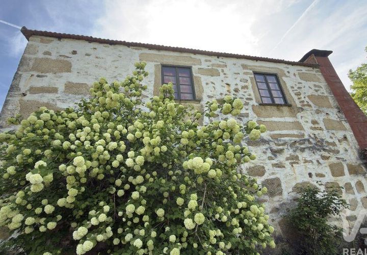 Farm i Tabuaco, Viseu, Tabuaco - € 535.000 | Ref: 777358 - foto 1