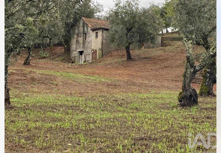 Byhus i Serta, Castelo Branco, Serta - € 57.000 | Ref: 787038 - foto 1