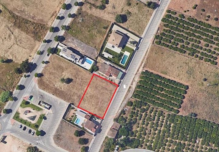 Terra a Pedreguer, Alicante, Pedreguer - € 550.000 | Ref: 5-36-15813 - foto 1