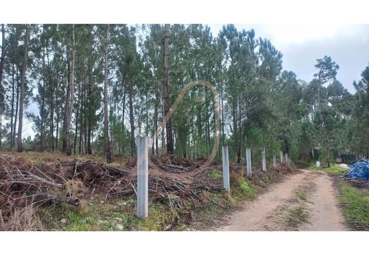 Terra a Matas e Cercal, Santarem, Matas e Cercal - € 45.000 | Ref: CV11012-12 - foto 1