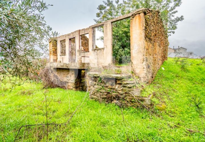 Terra a Barco e Coutada, Castelo Branco, Barco e Coutada - € 35.000 | Ref: UNU.i.2192.12348 - foto 1