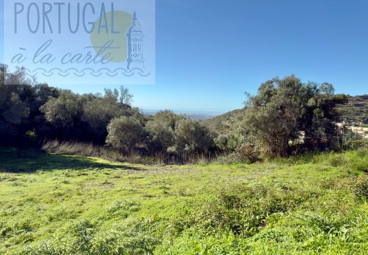 Helårsgrund i Estoi, Faro, Estoi - € 295.000 | Ref: PALC_193 - foto 1