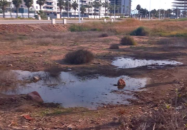 Helårsgrund i Grao De Moncofar, Castellon, Grao De Moncofar - € 1.599.000 | Ref: EXP12615/8930 - foto 1