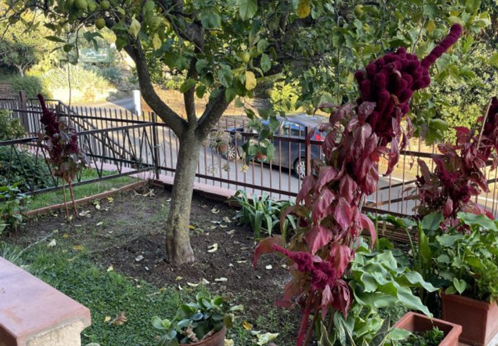 Lejlighed i Capalbio, Grosseto, Capalbio - € 350.000 | Ref: V-233 - foto 1