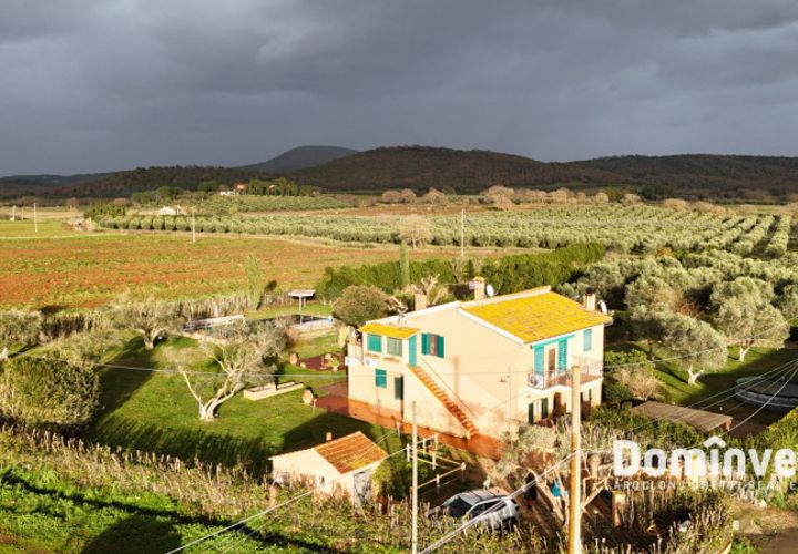 Landejendom i Capalbio, Grosseto, Capalbio - € 690.000 | Ref: V-234 - foto 1
