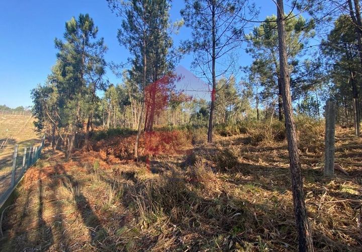 Helårsgrund i Vila Verde, Braga, Vila Verde - € 105.000 | Ref: 08766 - foto 1