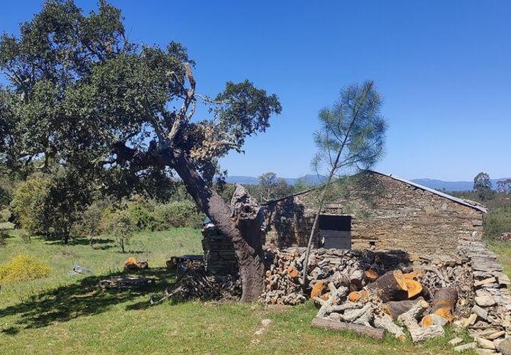Farm i Castelo Branco, Castelo Branco, Castelo Branco - € 20.690 | Ref: 791347 - foto 1