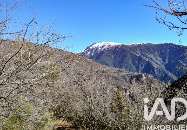 Landejendom i Roubion, Alpes-Maritimes, Roubion - € 49.500 | Ref: 49467 - foto 1