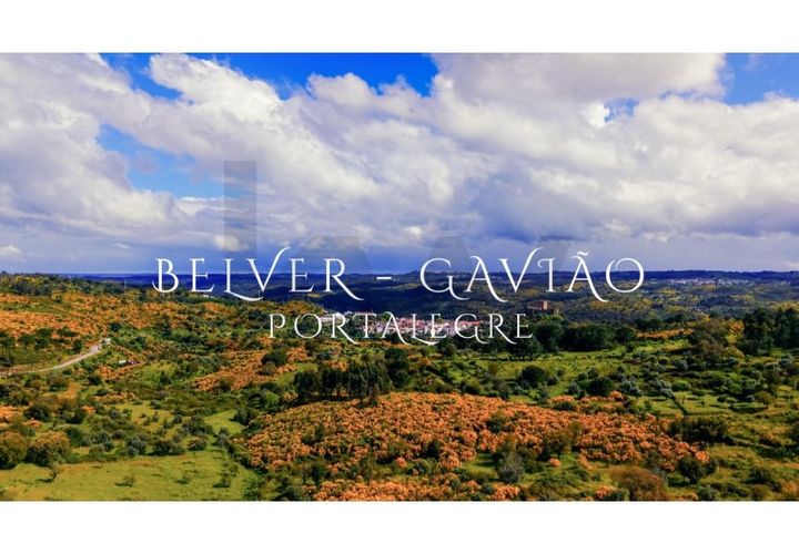 Terra a Gaviao, Portalegre, Gaviao - € 35.000 | Ref: KWPT-025542 - foto 1