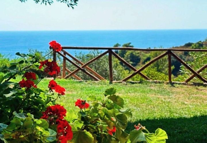 Villa i Monte Argentario, Grosseto, Monte Argentario - € 1.350.000 | Ref: 815454 - foto 1