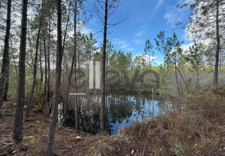 Helårsgrund i Castelo Branco, Castelo Branco, Castelo Branco - € 33.000 | Ref: 4007 - foto 1
