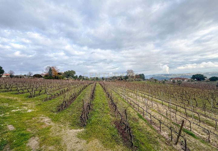 Helårsgrund i Viseu, Viseu, Viseu - € 65.000 | Ref: C0203-02566 - foto 1