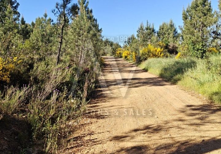 Helårsgrund i Silvares, Castelo Branco, Silvares - € 9.286 | Ref: AV198_V4e5 - foto 1