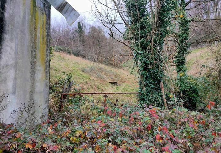 Helårsgrund i Altillac, Correze, Altillac - € 25.000 | Ref: FACEC31A421D4CA5 - foto 1
