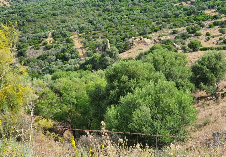 Helårsgrund i Casares, Malaga, Casares - € 325.000 | Ref: R5286859 - foto 1