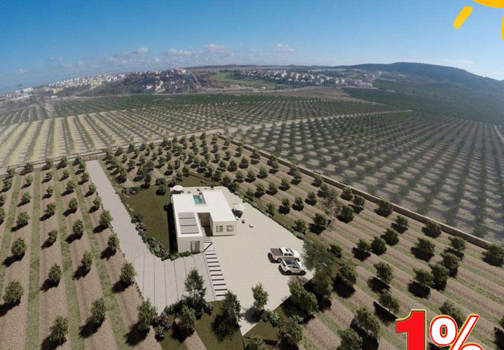 Villa i Algorfa, Alicante, Algorfa - € 995.000 | Ref: N8550 - foto 1