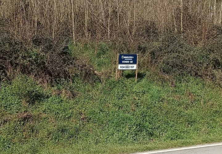 Helårsgrund i Mangualde, Viseu, Mangualde - € 71.000 | Ref: TER_85 - foto 1