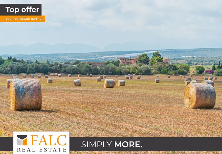 Terra a Son Gual, Mallorca, Son Gual - € 3.000.000 | Ref: FALC-Nep-62192 - foto 1
