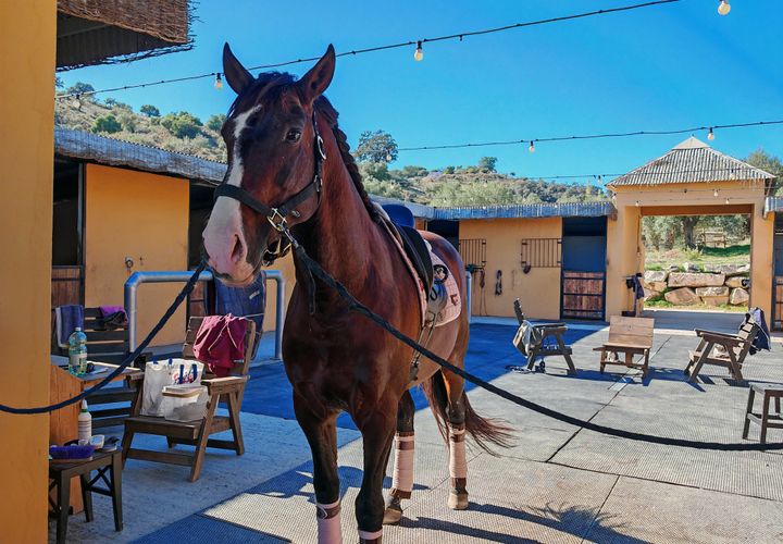 Finca i Coin, Malaga, Coin - € 2.800.000 | Ref: BEMV1491 - foto 1