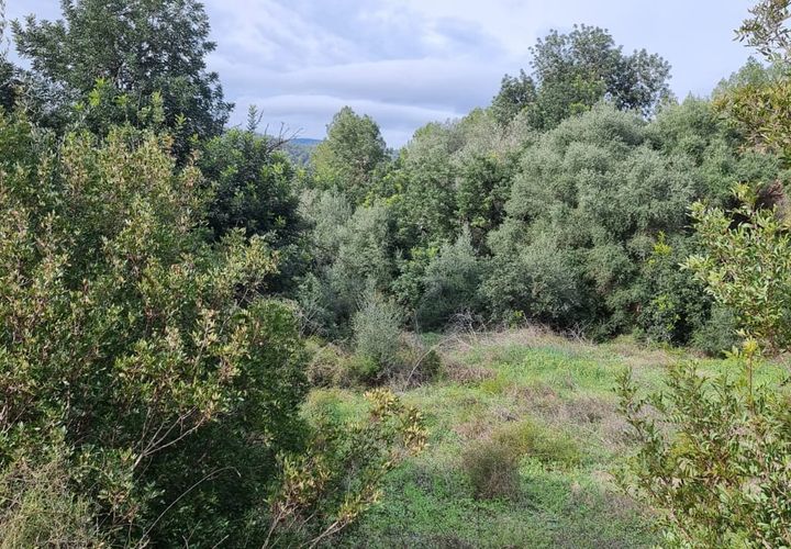 Finca i Benifallet, Tarragona, Benifallet - € 10.000 | Ref: Jr - foto 1