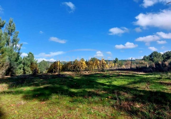 Terra a Vila da Ponte, Viseu, Vila da Ponte - € 20.000 | Ref: HOME579568 - foto 1