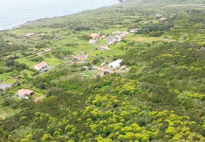 Terra em Capelo, Faial, Capelo - € 92.500 | Ref: ZMPT579570 - foto 1