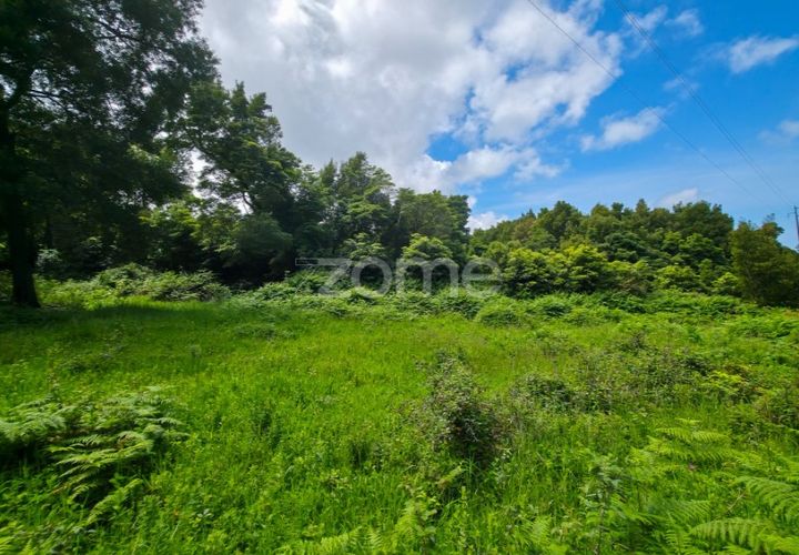 Helårsgrund i Sao Roque do Pico, Pico, Sao Roque do Pico - € 80.000 | Ref: ZMPT577484 - foto 1
