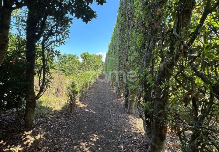 Farm i Rabo de Peixe, Sao Miguel, Rabo de Peixe - € 1.600.000 | Ref: ZMPT570586 - foto 1
