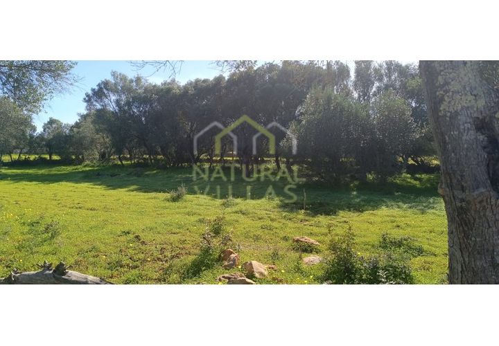 Helårsgrund i Quelfes, Faro, Quelfes - € 45.000 | Ref: TER_2504_VEND - foto 1
