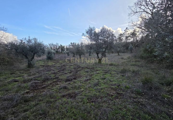 Helårsgrund i Ansiao, Leiria, Ansiao - € 28.000 | Ref: C0381-00861 - foto 1