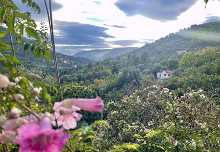 Terra a Saint-Blaise, Alpes-Maritimes, Saint-Blaise - € 210.000 | Ref: 86665559 - foto 1